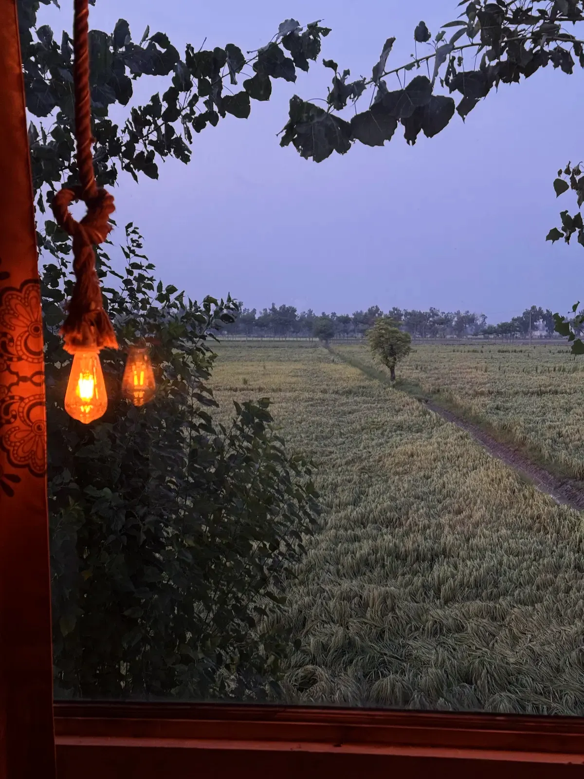 Dusk falling over the fields beside the farmhouse